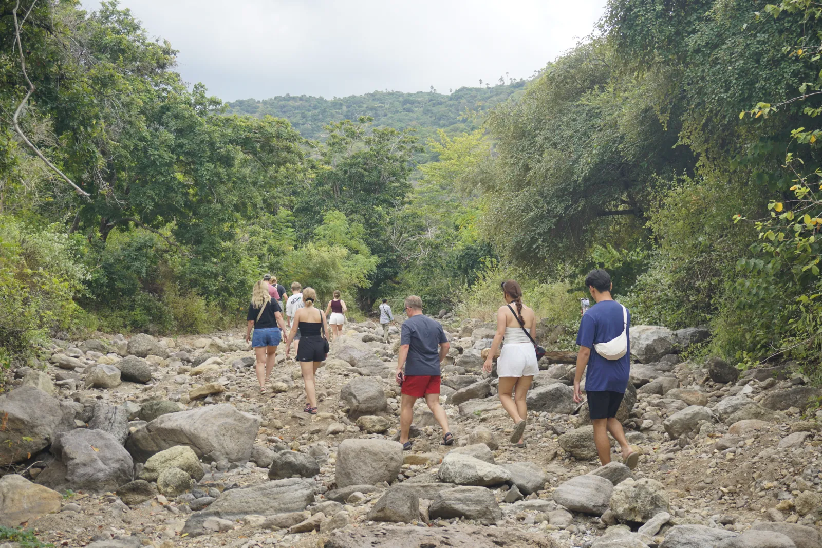 Rinca Island – photo 3